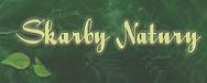 logo firmy